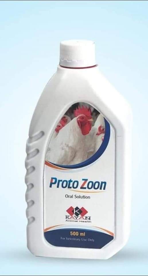 بروتوزونprotozone