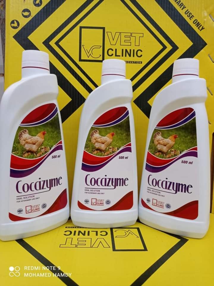 كوكس زايمCoccizyme