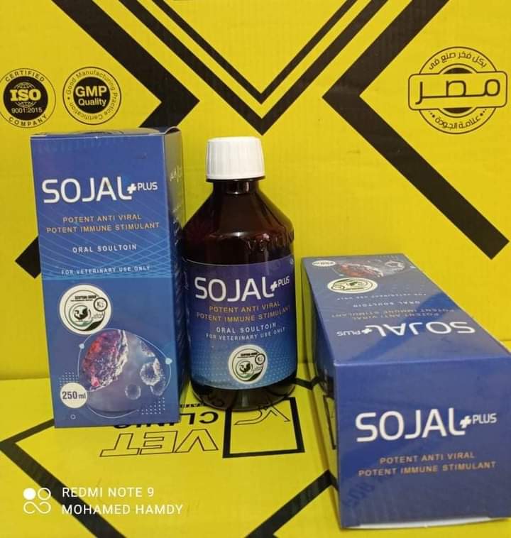 سوجال بلسsojal plus