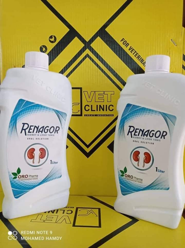 رينوجورRenagor
